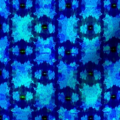 Jewels in her eyes Shibori Blues