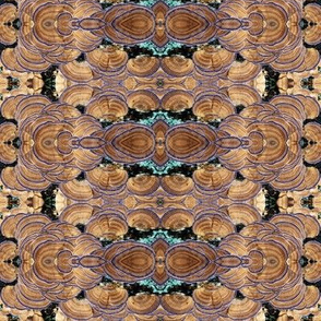 wild mushrooms mirrored