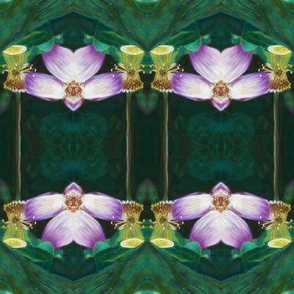 LOTUS ORCHID GEOMETRY art nouveau ORIGINAL PINK  GREEN