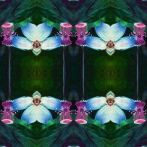 LOTUS ORCHID GEOMETRY SAP  GREEN PINK BLUE PSMGE