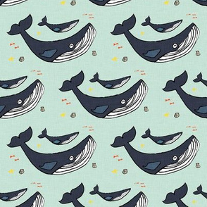 whale aqua 