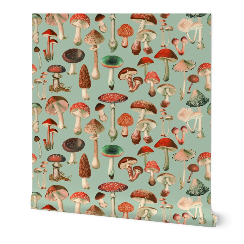 Mushies 13B Red & Green // large