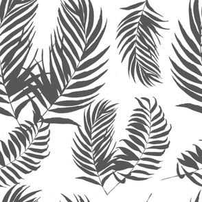 palm leaves gray  tropical