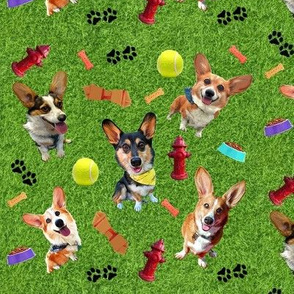 Cartoon Corgi Dog Park