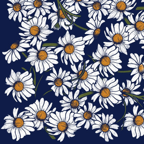 Daisies