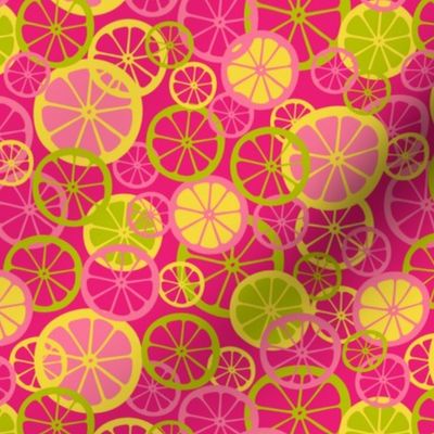 Citrus Slices: Vibrant Sliced Fruit Medley, Small