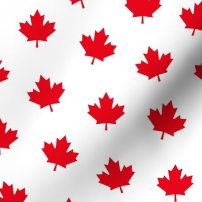 maple leafs LG red and white maples leaves || canada day canadian july 1st