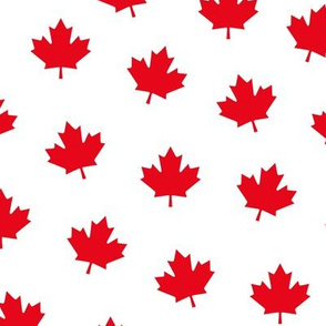 maple leafs LG red and white maples leaves || canada day canadian july 1st