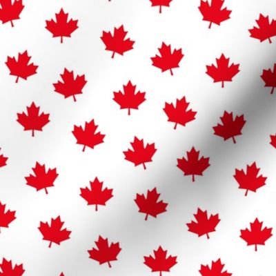 maple leafs MED red and white maples leaves || canada day canadian july 1st