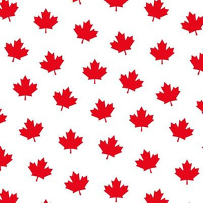 maple leafs MED red and white maples leaves || canada day canadian july 1st