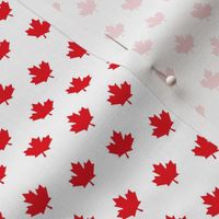 maple leafs SM red and white maples leaves || canada day canadian july 1st