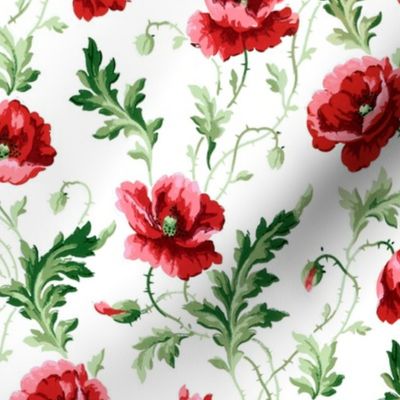 Poppies For Dorothy ~ Bright on White ~ Medium