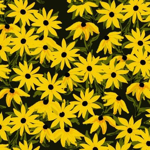 Blackeyed Susans