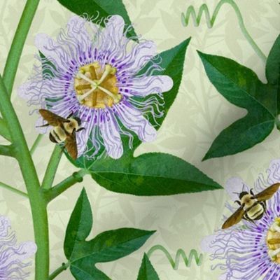 Bumble Bee Passion Flower Large Scale