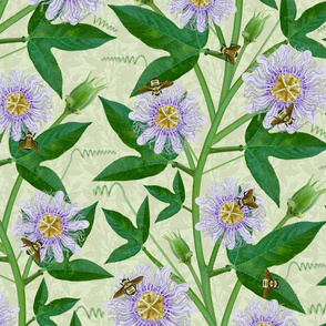 Bumble Bee Passion Flower Large Scale