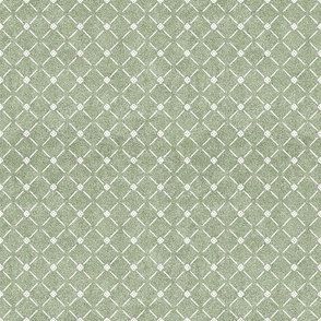 Dusty Sage Green and White Velvet Lattice