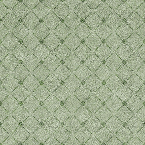 Dusty Sage Green Velvety Lattice