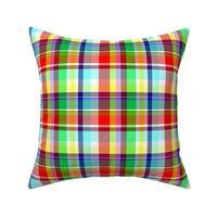 Madras in Red Green Yellow Purple and Sky Blue