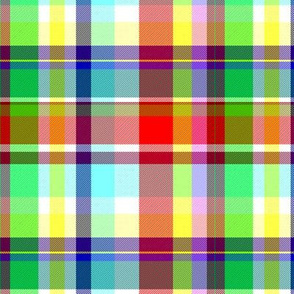 Madras in Red Green Yellow Purple and Sky Blue