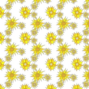Sunflower Stars