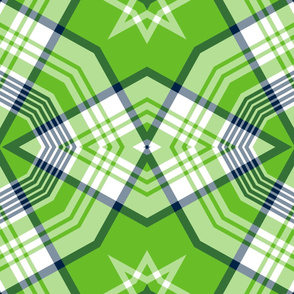 The Navy and the Green: Stars and Diamonds Picnic Plaid