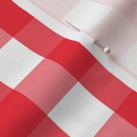 gingham LG red and white || canada day canadian july 1st