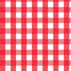 gingham MED red and white || canada day canadian july 1st