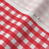 gingham SM red and white || canada day canadian july 1st