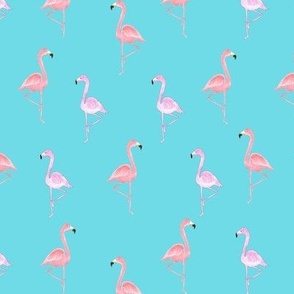 Two Color Pink Flamingos on Turquoise