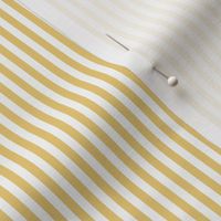 Farmhouse Stripe Small: Moonlight