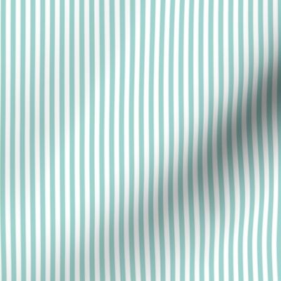 Farmhouse Stripe Small in Aqua