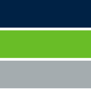 The Navy and the Green: Giant Multi Stripes - Horizontal