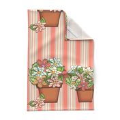 Terra Cotta Flower Pots - (Striped Floral)