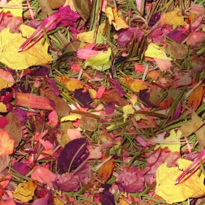 Rose Potpourri in Pink and Yellow