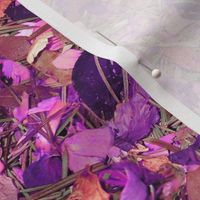 Rose Potpourri in Purple and White