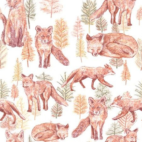 Forest of Foxes