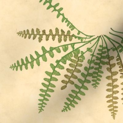 Fern Botanical ~ Parchment  ~ Jumbo