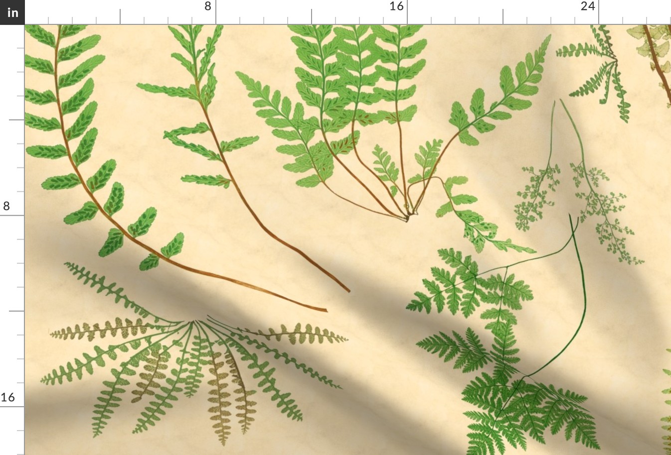 Fern Botanical ~ Parchment  ~ Jumbo