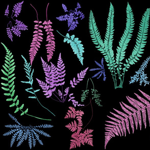 Fern Botanical ~ Colors on Black