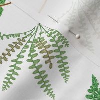 Fern Botanical ~ White  