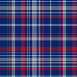 The Blue the Red and the Grey: Plaid 1
