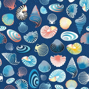 colorful sea shells on deep blue | small