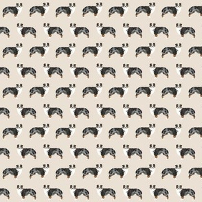 TINY - aussie dog australian shepherds dog shepherds aussie tan dog fabric