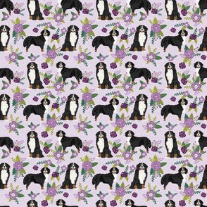 TINY - bernese mountain dog pet quilt c coordinate dog fabric floral