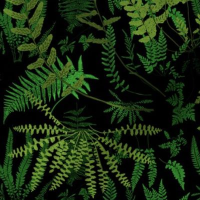 Fern Botanical ~ Deep Nightshade 