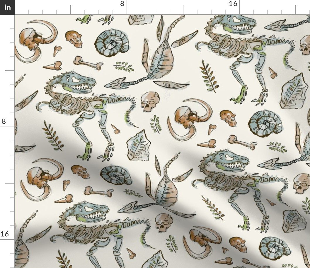 Natural History Pattern