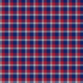 The Blue Red and Grey_Little Plaid