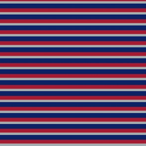 The Blue Red and Grey: Little Stripes - Horizontal