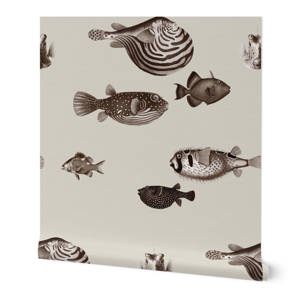 Acquario Fish neutral light greige beige cream black dark chocolate