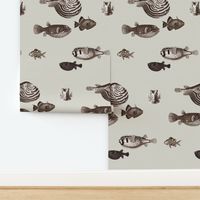 Acquario Fish neutral light greige beige cream black dark chocolate